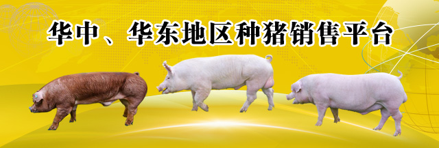 华中、华东种猪销售平台