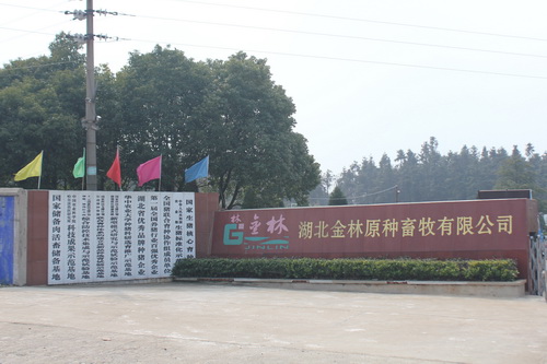 占地3000余亩的杨湖原种场