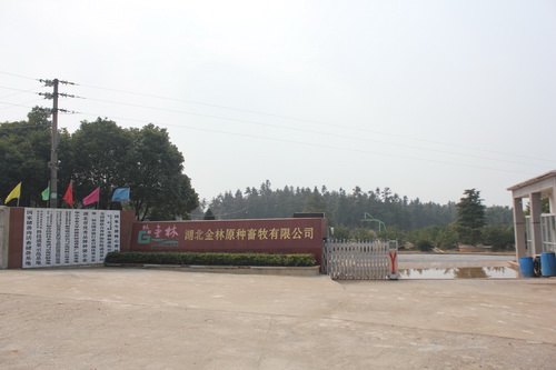 梁湖原种场“一道”大门