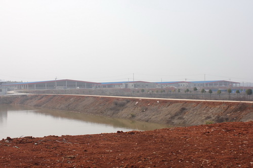 新场将建成3个“分娩+配怀”生产车间和1个保育车间