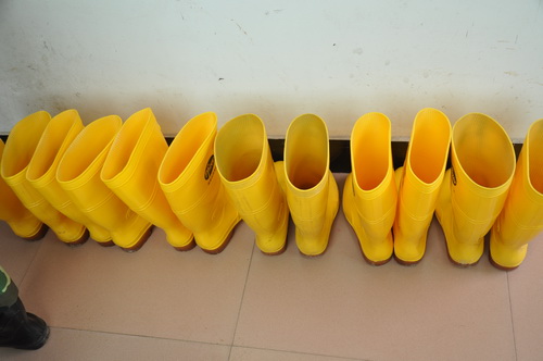 İڷ