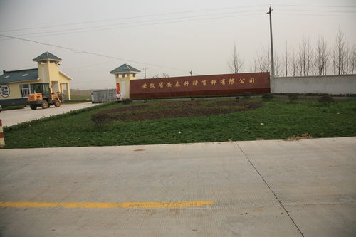 肥东包公镇种猪场