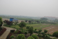 办公区风景