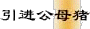 BB6.gif (2207 �ֽ�)