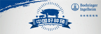 中国好种猪